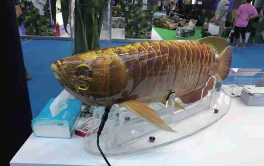 Robot cá rồng gây chú ý tại triển lãm quân sự Bắc Kinh